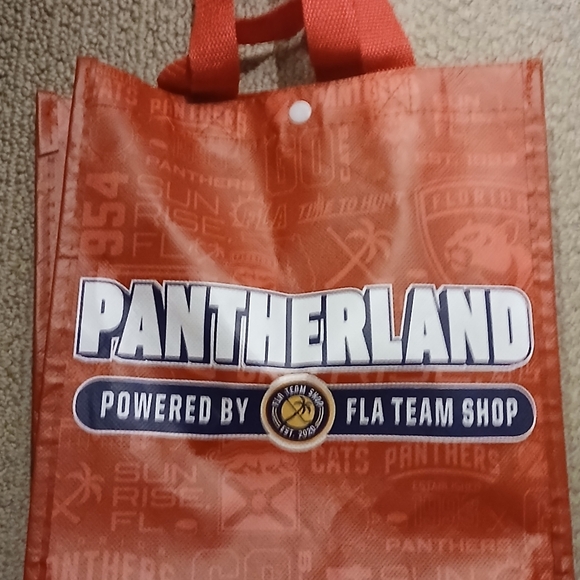 Pantherland FLA TEAM SHOP Reusable Snap Waterproof Bag NWOT - Picture 3 of 8